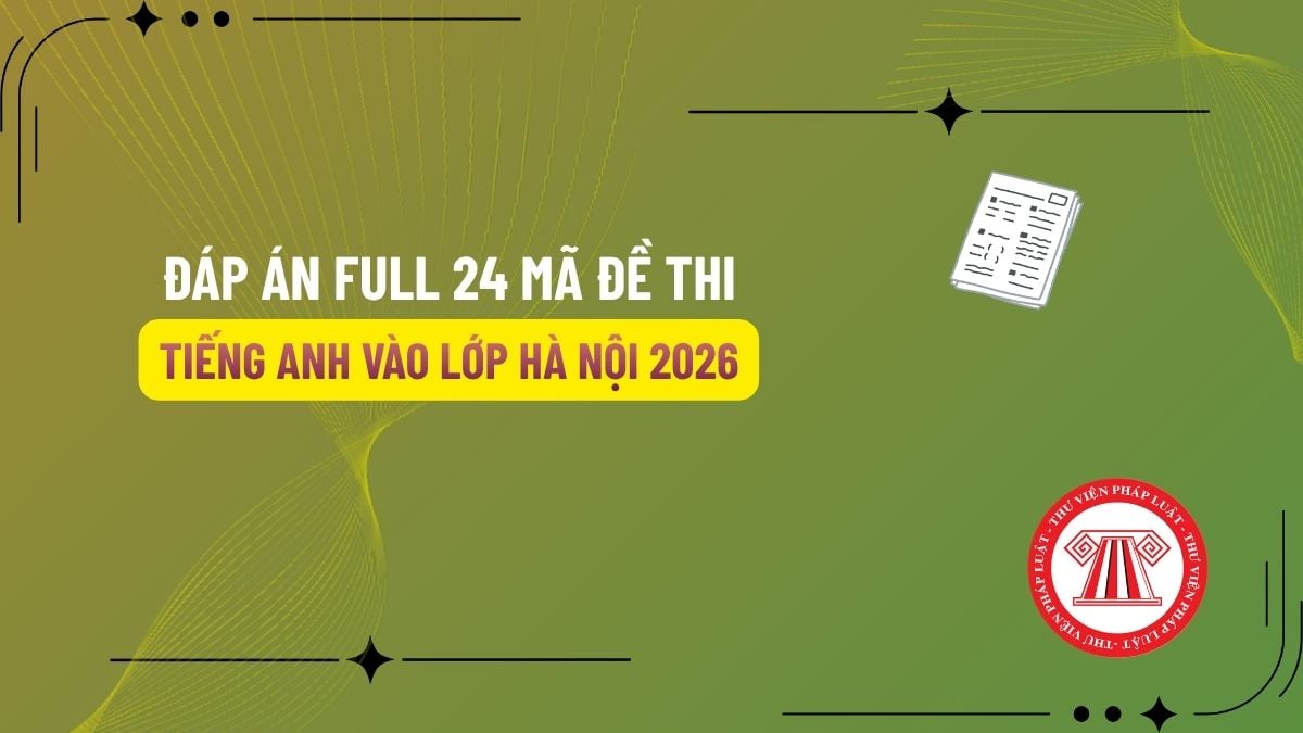 Pháp luật