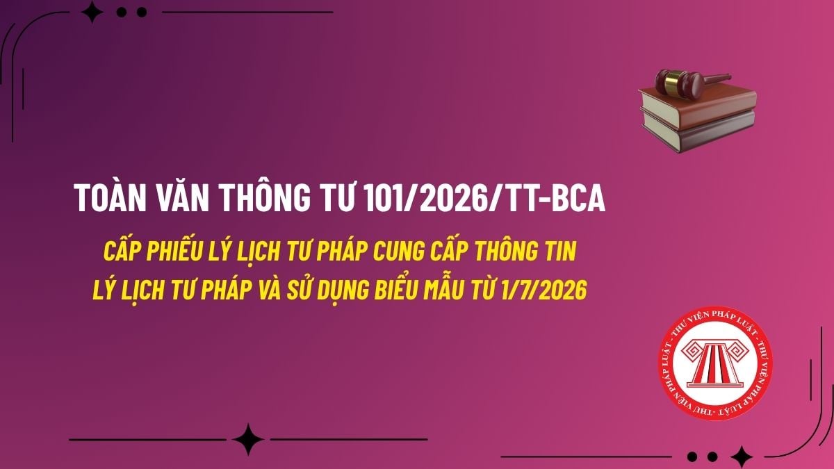 Pháp luật