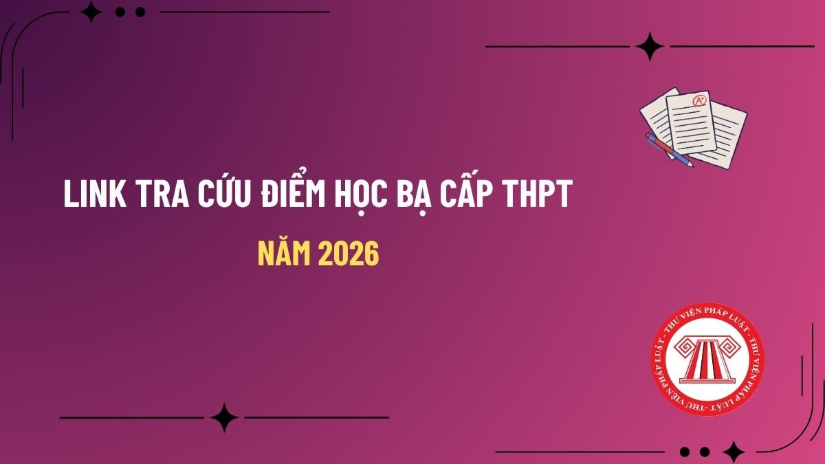 Pháp luật