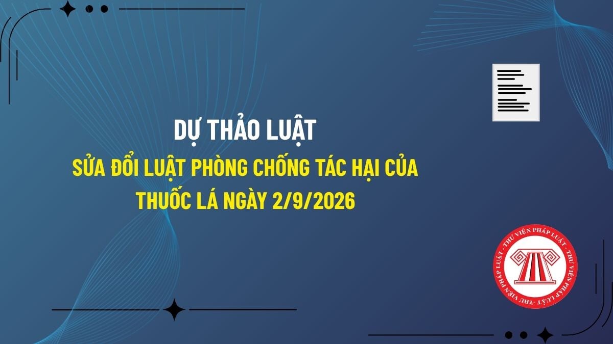 Pháp luật