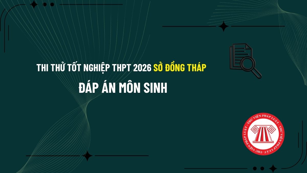 Pháp luật
