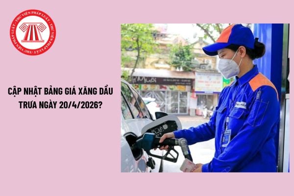 Pháp luật