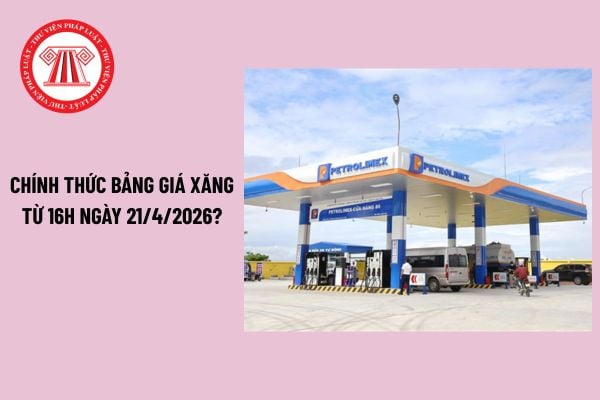 Pháp luật