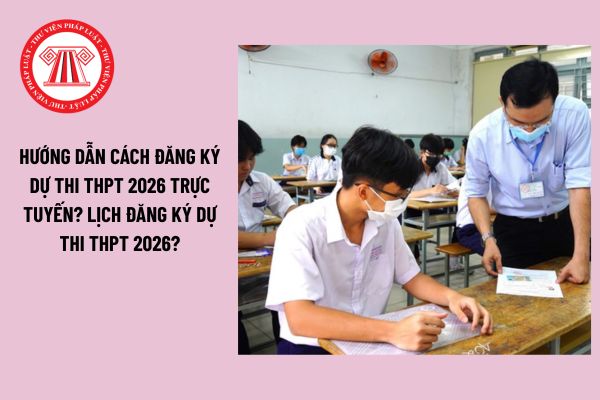 Pháp luật