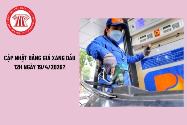 Pháp luật