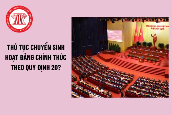 Pháp luật