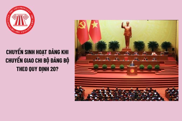 Pháp luật