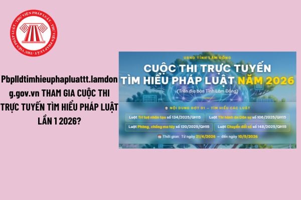 Pháp luật