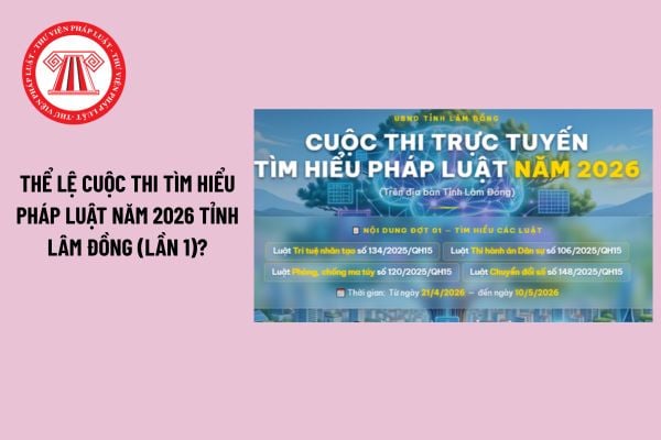 Pháp luật