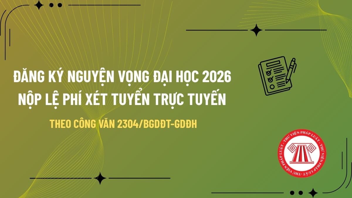 Pháp luật