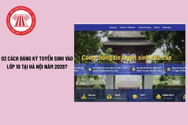 Pháp luật
