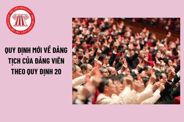 Pháp luật