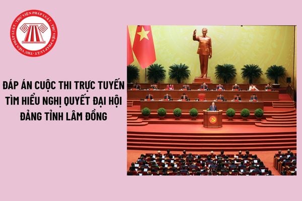 Pháp luật