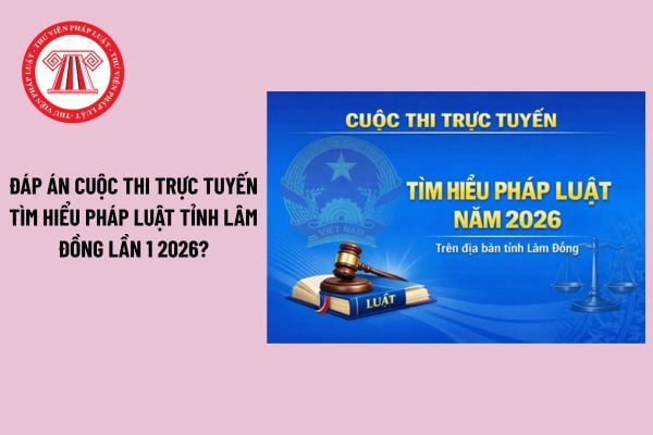 Pháp luật