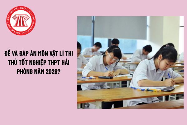 Pháp luật