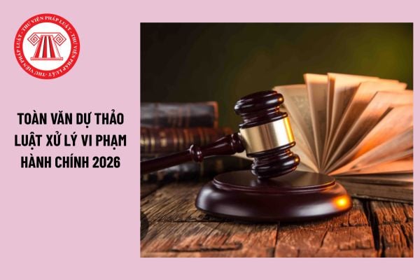 Pháp luật
