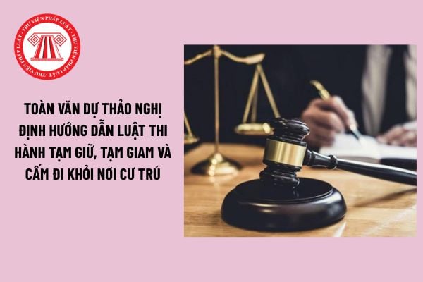 Pháp luật