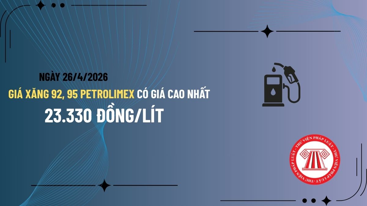 Pháp luật