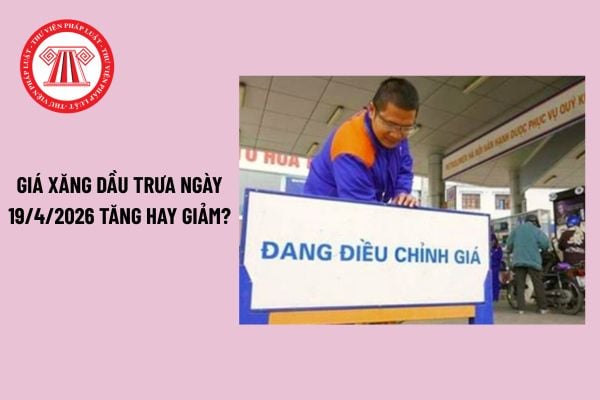 Pháp luật