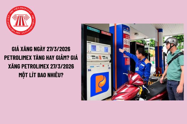Pháp luật