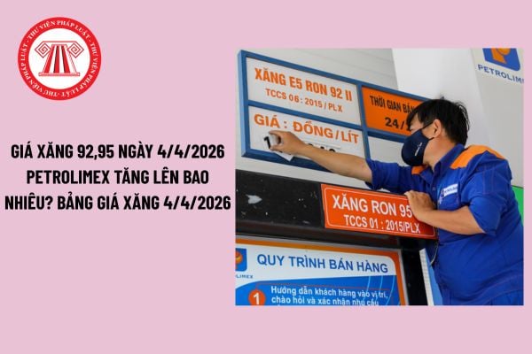 Pháp luật