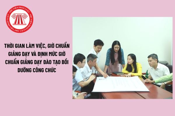 Pháp luật