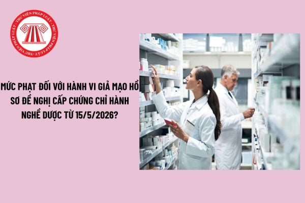 Pháp luật