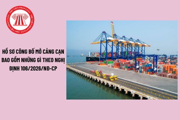 Pháp luật