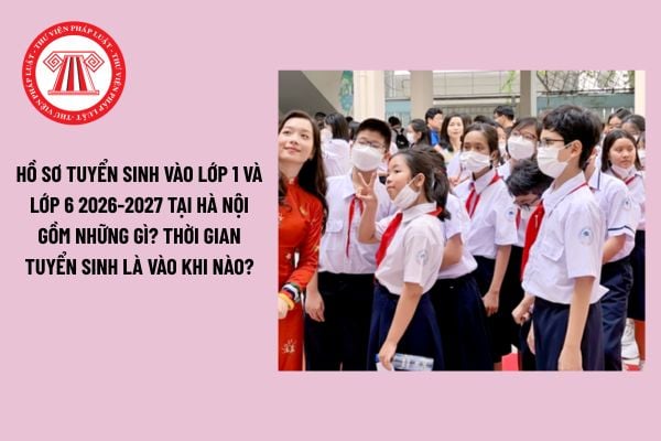 Pháp luật