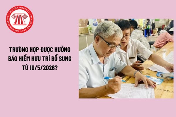 Pháp luật