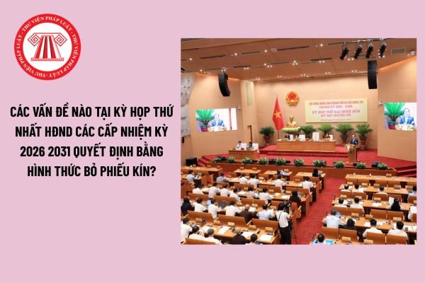 Pháp luật