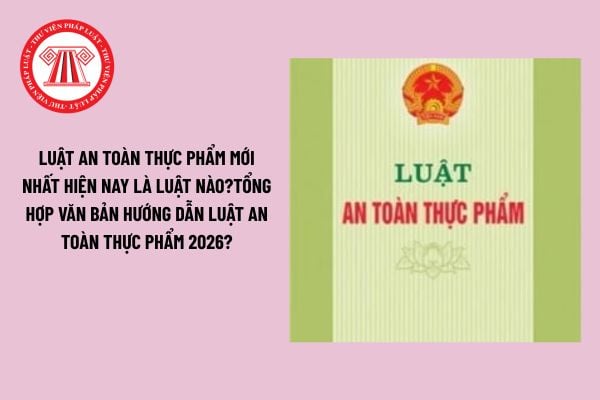 Pháp luật