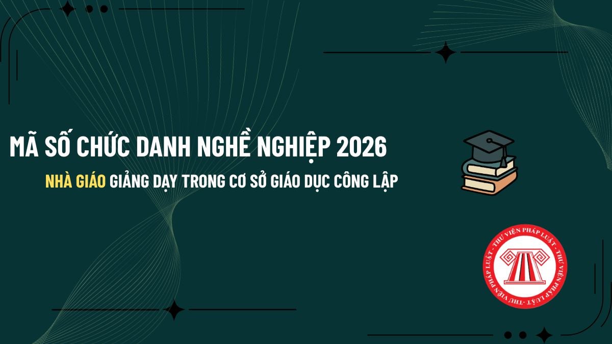 Pháp luật