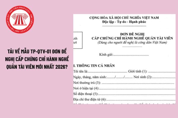 Pháp luật