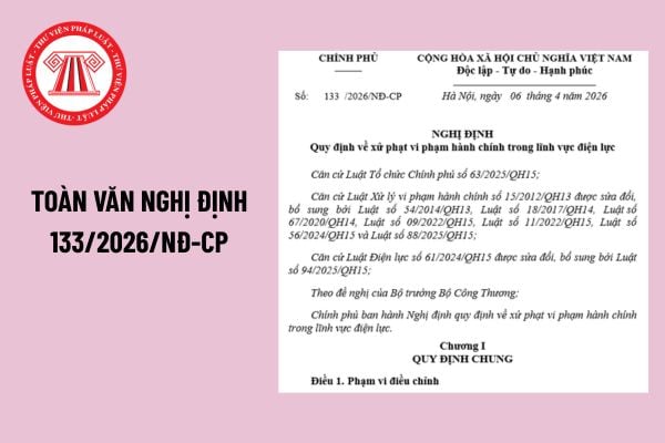 Pháp luật