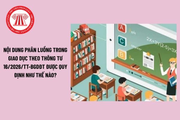Pháp luật