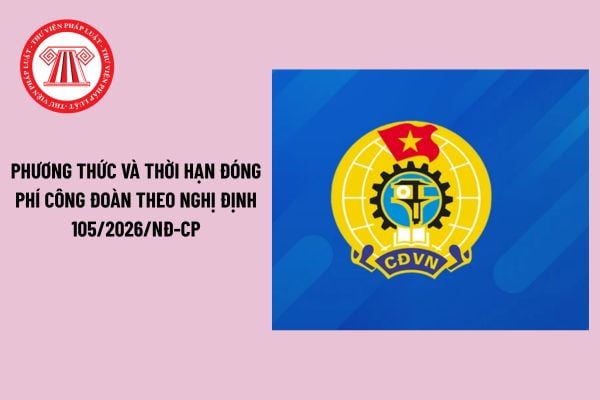Pháp luật
