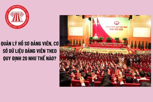 Pháp luật