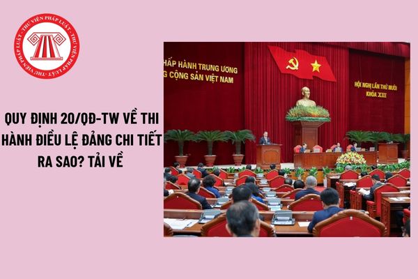 Pháp luật