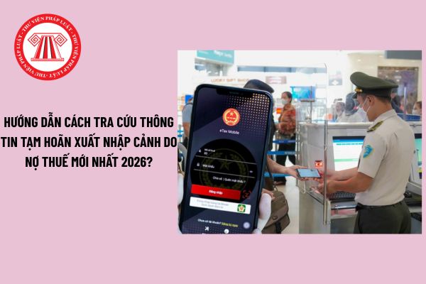 Pháp luật