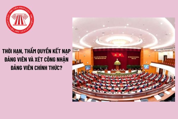 Pháp luật