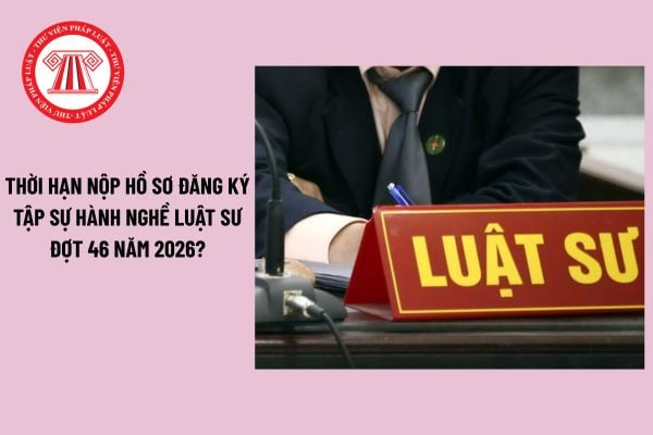 Pháp luật