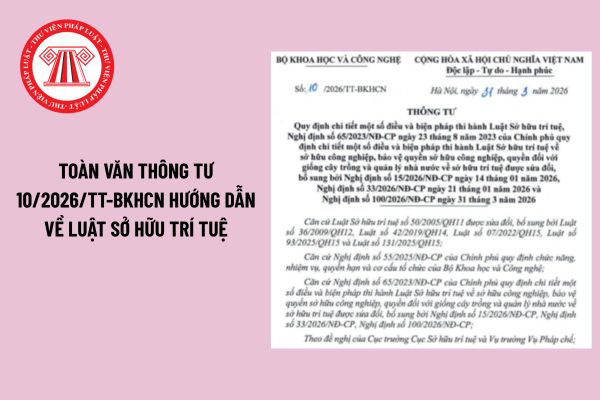 Pháp luật