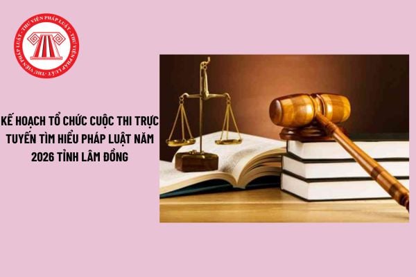 Pháp luật