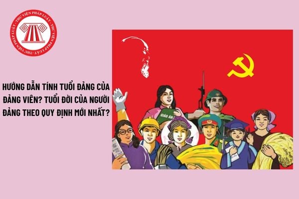 Pháp luật