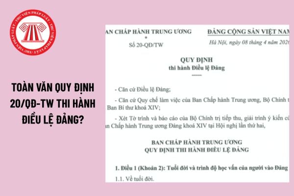 Pháp luật