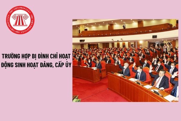 Pháp luật