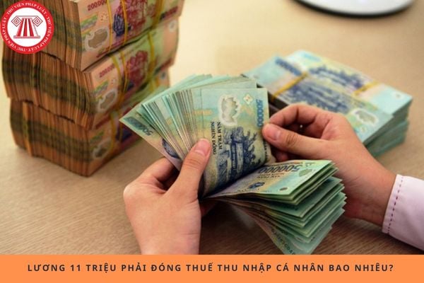 Pháp luật