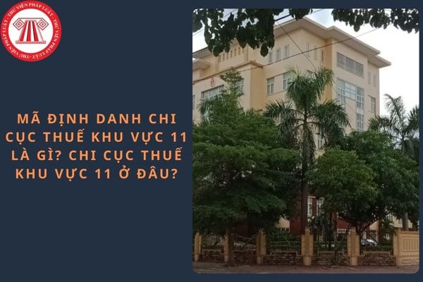Pháp luật
