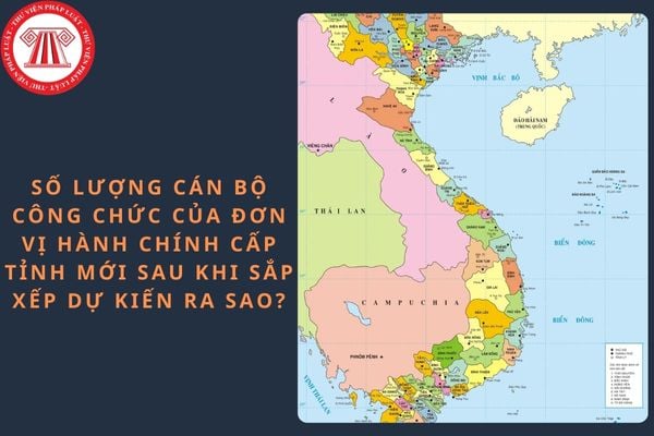 Pháp luật